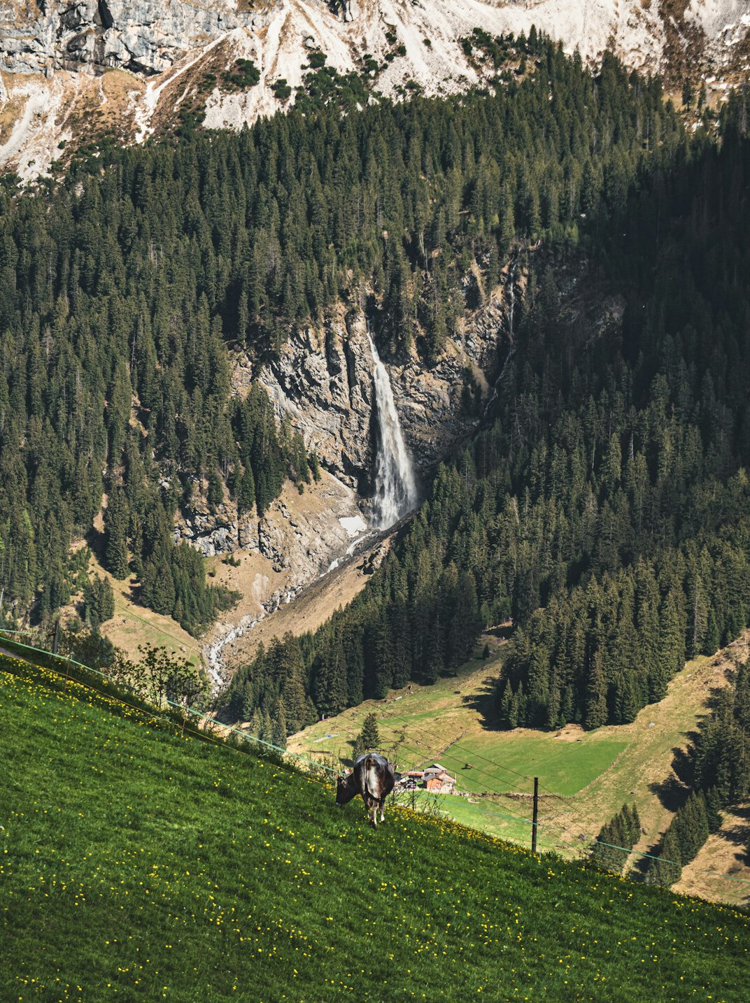 swiss green files product